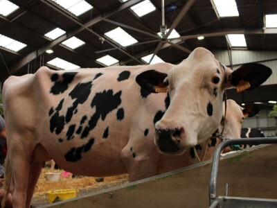 SPACE 2019 Rennes, Francuska