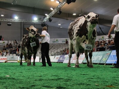 SPACE 2019 Rennes, Francuska