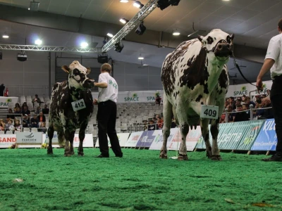 SPACE 2019 Rennes, Francuska