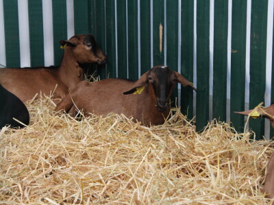 SPACE 2019 Rennes, Francuska