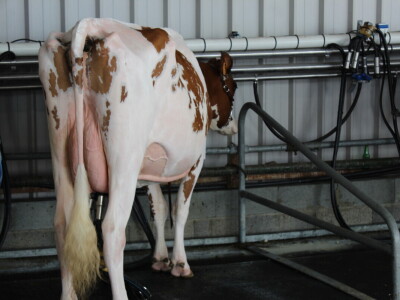 SPACE 2019 Rennes, Francuska