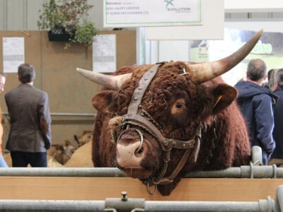 SPACE 2019 Rennes, Francuska