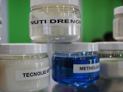 SPACE 2019 Renu, Francuska