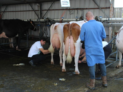 SPACE 2019 Renu, Francuska