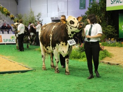 SPACE 2019 Renu, Francuska