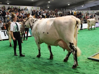 SPACE 2019 Renu, Francuska