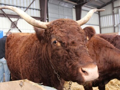 SPACE 2019 Renu, Francuska