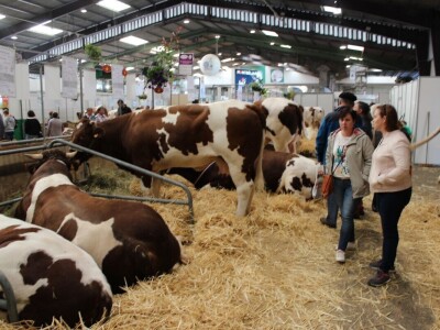 SPACE 2019 Renu, Francuska