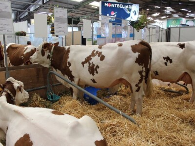 SPACE 2019 Renu, Francuska