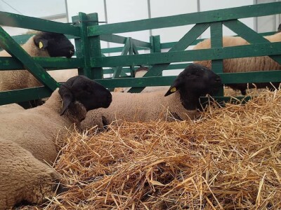 SPACE 2023 SPACE 2023