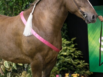 SPACE 2023 SPACE 2023