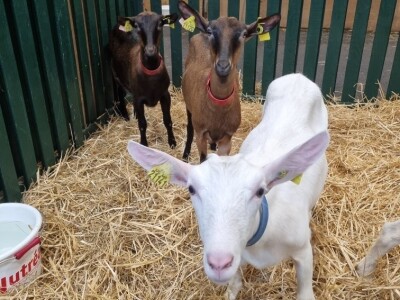 SPACE 2023 SPACE 2023