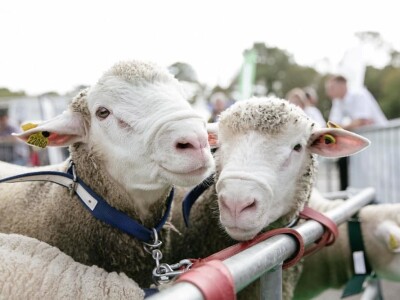 SPACE 2023 SPACE 2023