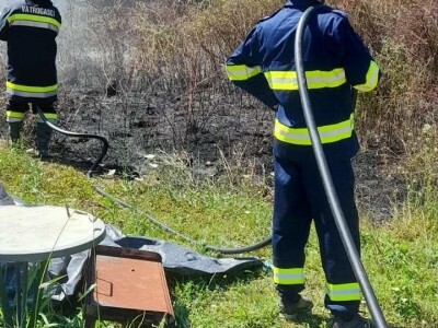 Spaljeni voćnjaci u selu Gorice u Hrvatskoj
