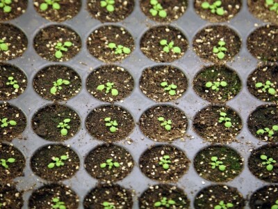 Španija na sajmu poljoprivrede u Novom Sadu