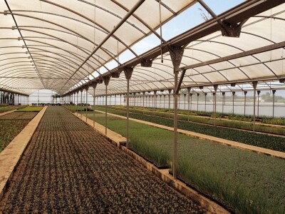 Španija na sajmu poljoprivrede u Novom Sadu