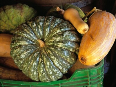 Španija na sajmu poljoprivrede u Novom Sadu