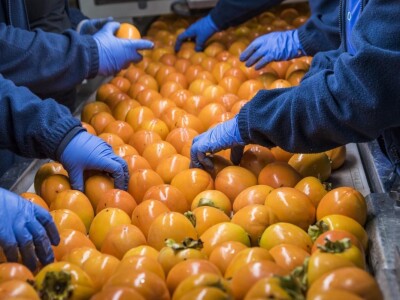 Španija na sajmu poljoprivrede u Novom Sadu