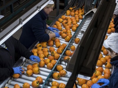 Španija na sajmu poljoprivrede u Novom Sadu