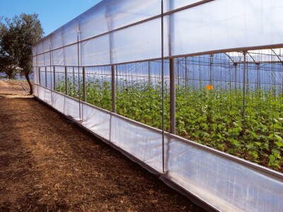 Španija na sajmu poljoprivrede u Novom Sadu