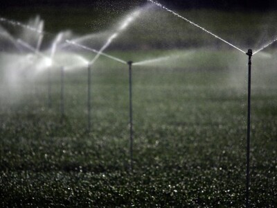 Španija na sajmu poljoprivrede u Novom Sadu