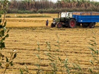 Španija na sajmu poljoprivrede u Novom Sadu