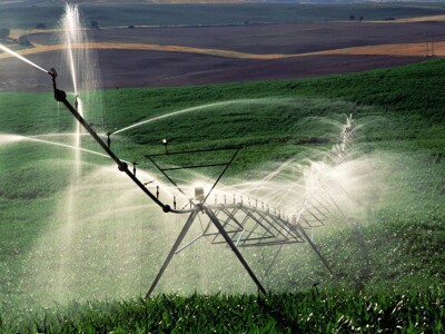 Španija na sajmu poljoprivrede u Novom Sadu