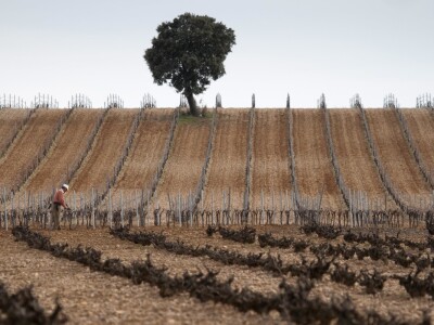 Španija na sajmu poljoprivrede u Novom Sadu