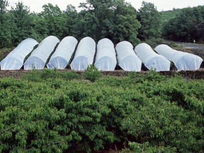 Španija na sajmu poljoprivrede u Novom Sadu