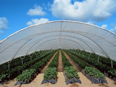 Španija na sajmu poljoprivrede u Novom Sadu