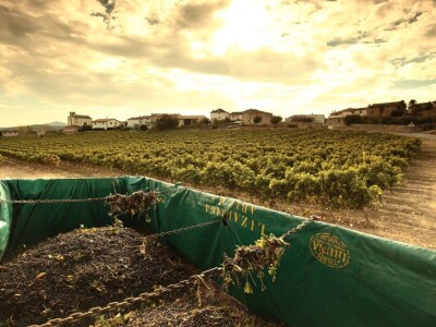 Španija na sajmu poljoprivrede u Novom Sadu