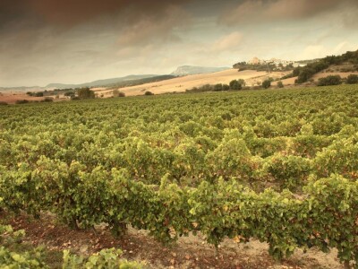 Španija na sajmu poljoprivrede u Novom Sadu