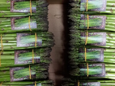 OPG Petrović šparoge