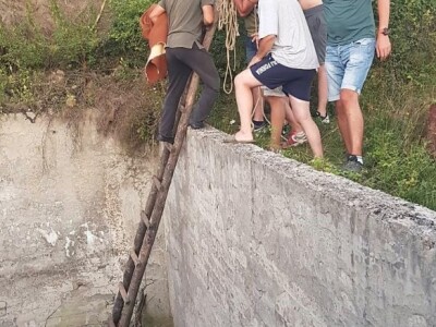 SpaŠavaju i brinu o divljači