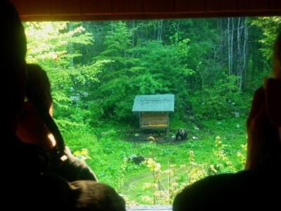 SpaŠavaju i brinu o divljači