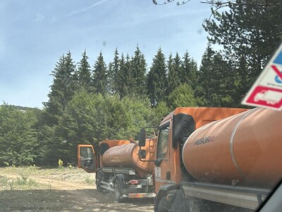 Spasena stoka na Suvoj planini