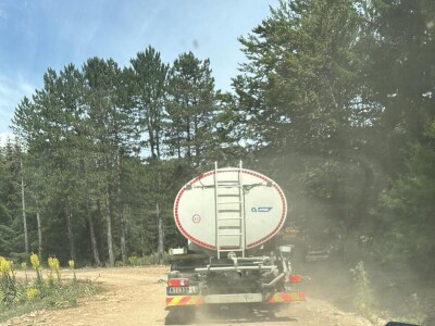 Spasena stoka na Suvoj planini