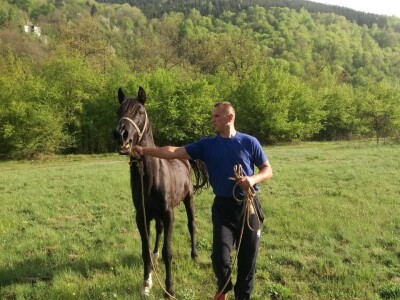 Spasio ergelu s Borika i napravio carstvo rasnih konja arapske pasmine