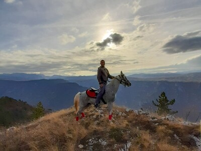 Spasio ergelu s Borika i napravio carstvo rasnih konja arapske pasmine