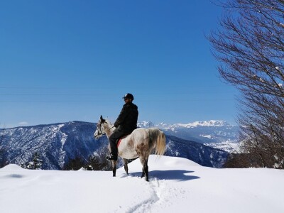 Spasio ergelu s Borika i napravio carstvo rasnih konja arapske pasmine