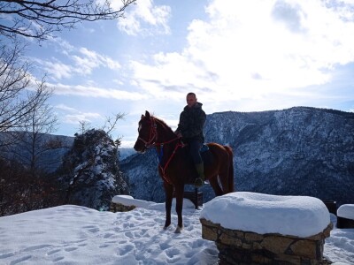 Spasio ergelu s Borika i napravio carstvo rasnih konja arapske pasmine