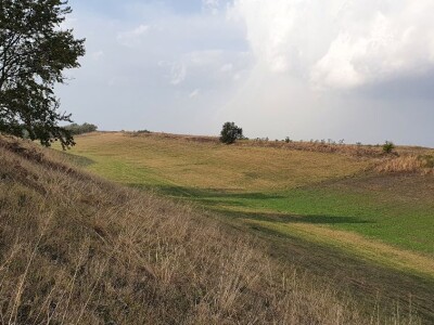 Specijalni rezervat prirode "Doline kod Padine"