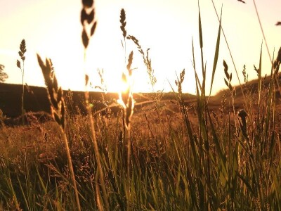 Specijalni rezervat prirode "Doline kod Padine"