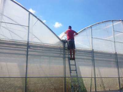 Špehari procjenjuju štete