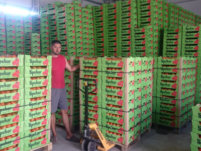 Imaju siguran plasman