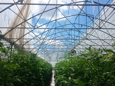 Lađa bez &quot;krova&quot;