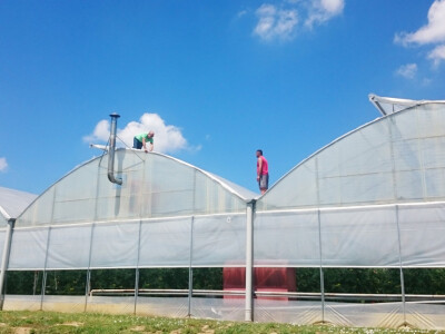 Stigli i stručnjaci GIS Impra