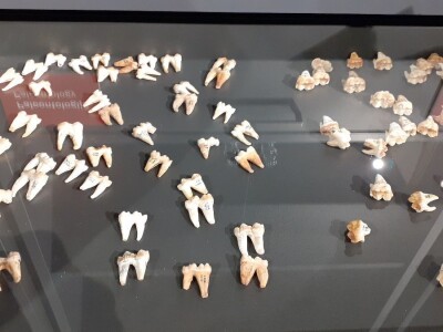 Speleon - Centar podzemne baštine