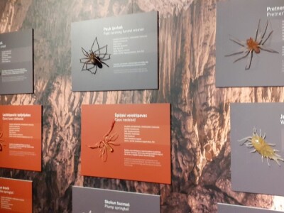 Speleon - Centar podzemne baštine