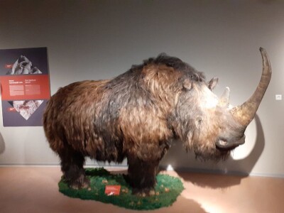 Speleon - Centar podzemne baštine